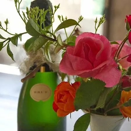 Sleep & Artistico Loft Sant Daniel