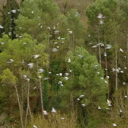 Sleep & Artistico Loft Sant Daniel Girona