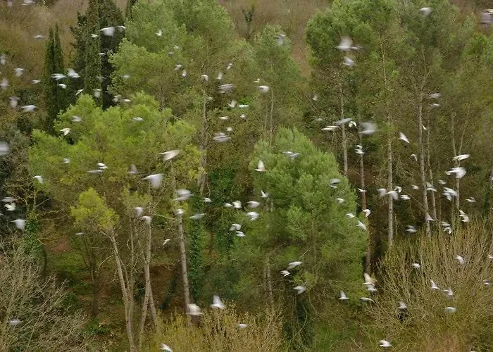 Sleep & Artistico Loft Sant Daniel Girona